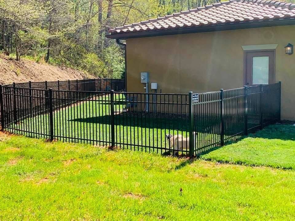 Black ornamental aluminum fence enclosing a lawn dog run beside a stucco house, with a dog inside