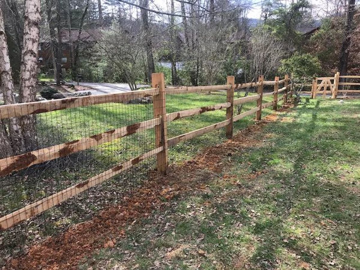 Split-rail fence with mesh in a wooded yard