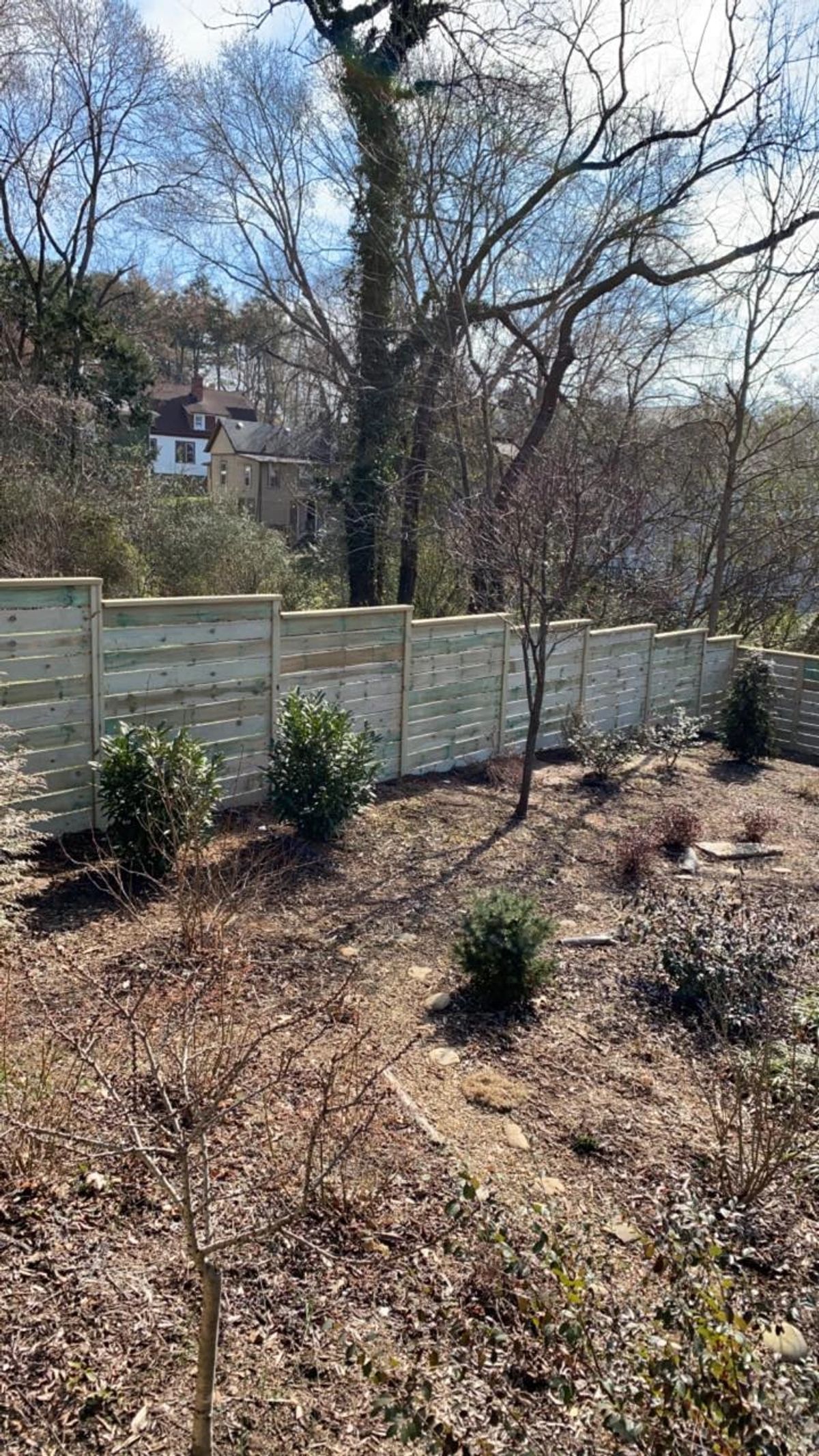 Horizontal-slat wood privacy fence with landscaped bed