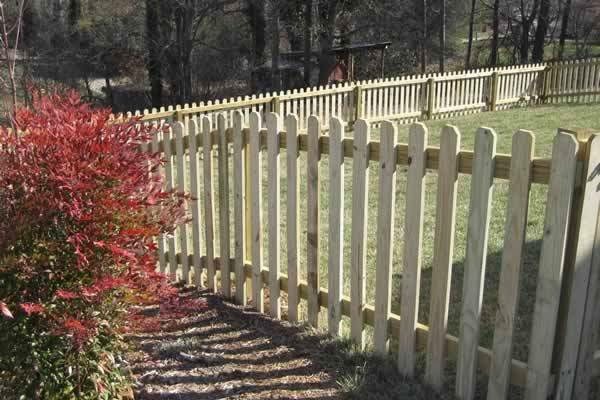 Spaced dog-ear wood picket fence running along a planted bed in a wooded yard